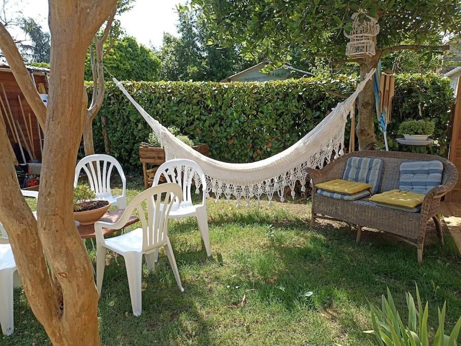 Maison Agreablement Chaleureuse Albi Ngoại thất bức ảnh