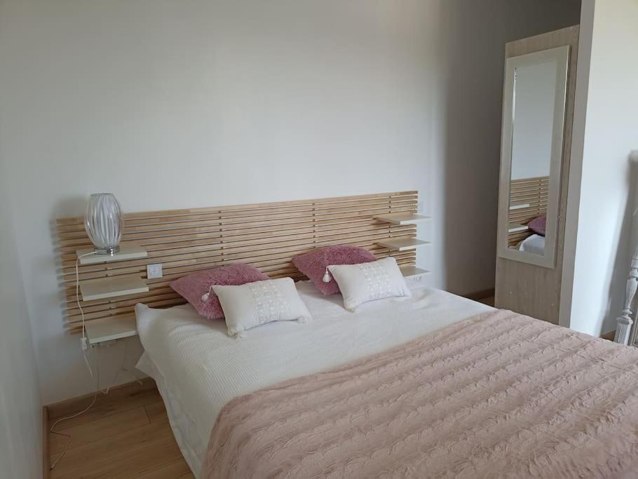 Maison Agreablement Chaleureuse Albi Ngoại thất bức ảnh